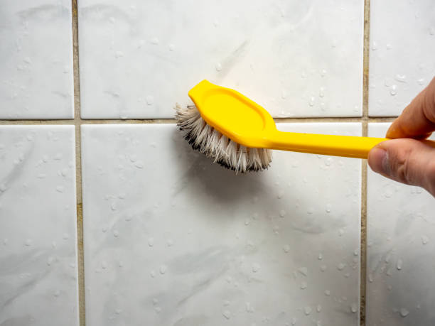 Trusted Princess Anne, MD Mold Remediation Experts